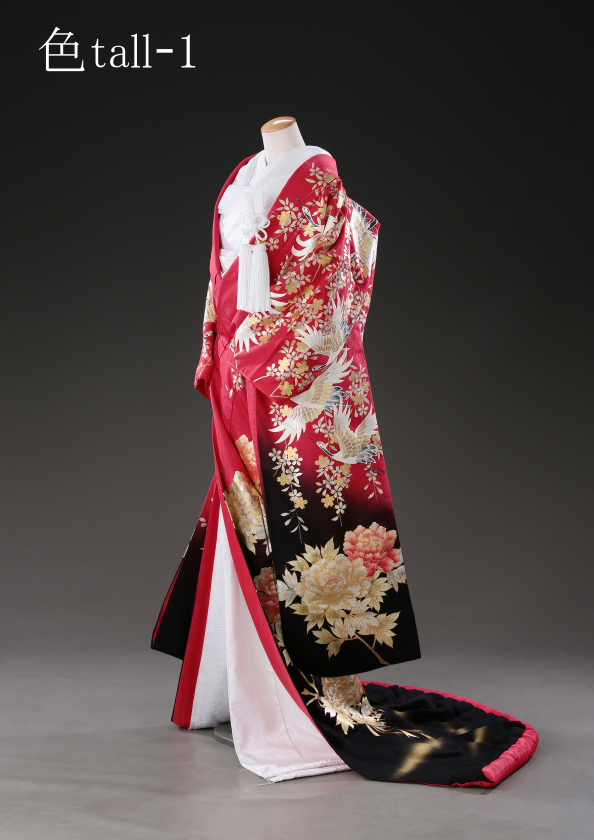 市川店/色打掛 Tall-1