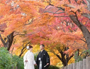 桜・紅葉を撮影するなら...『じゅん菜池』