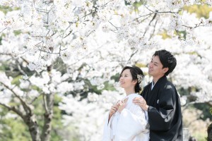 重要文化財が建ち並ぶ名勝・三溪園