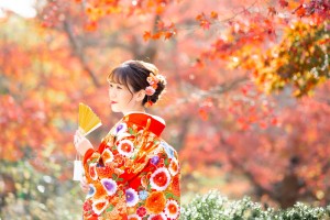 重要文化財が建ち並ぶ名勝・三溪園